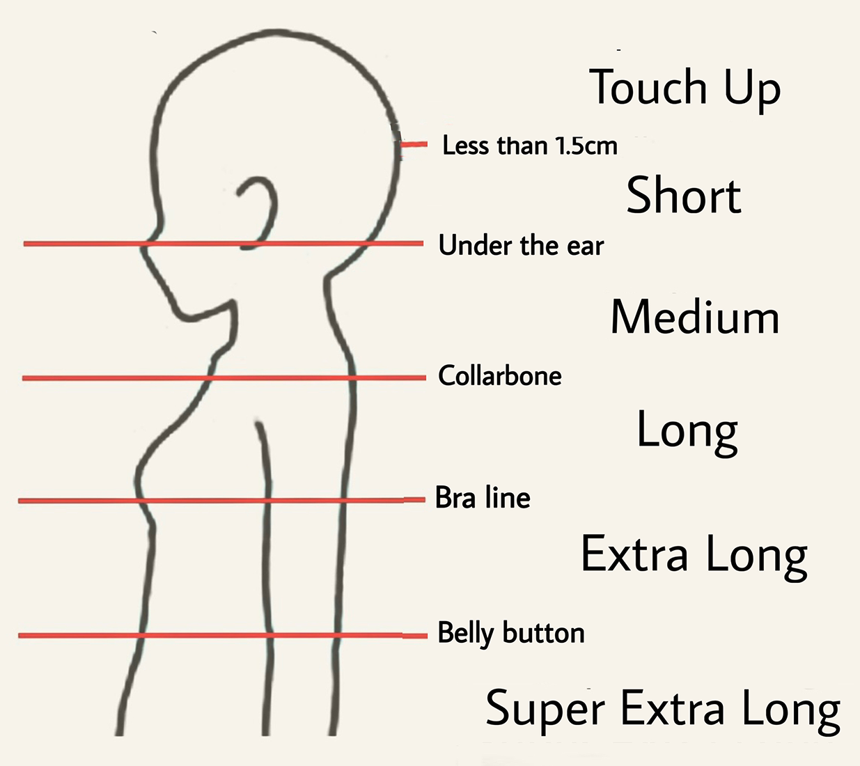 Ladies hair length chart